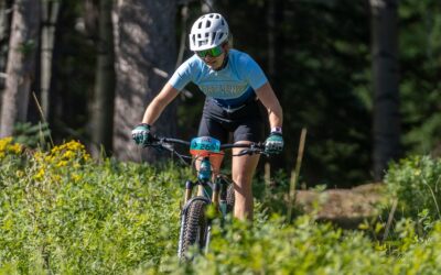 Mountain Biking in the Arizona White Mountains