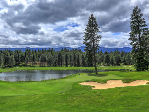 Golf Courses in the Arizona White Mountains Golf Courses in the Arizona White Mountains