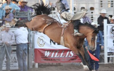 Taylor Arizona Independence Day and Night Rodeo