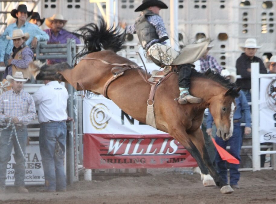 Taylor Arizona Independence Day and Night Rodeo Things To Do in