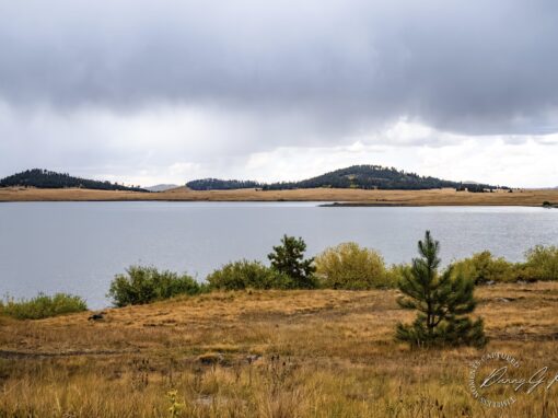 Big Lake In The Arizona White Mountains Big Lake In The Arizona White Mountains