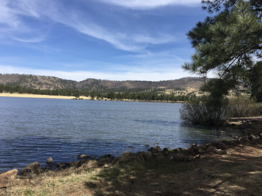 Arizona White Mountain Lakes Arizona White Mountain Lakes