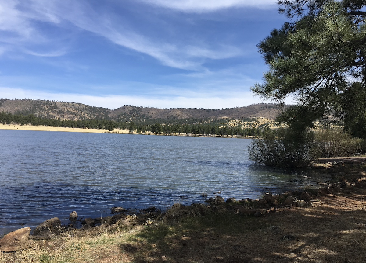 Arizona White Mountain Lakes Things To Do in Arizona White Mountains