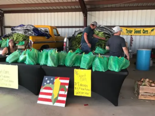Taylor Arizona Sweet Corn Festival Taylor Arizona Sweet Corn Festival