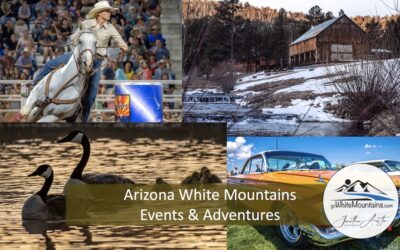 Arizona White Mountain October Events