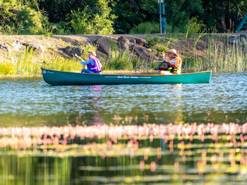 Woodland Lake Park in Pinetop Arizona Woodland Lake Park in Pinetop Arizona