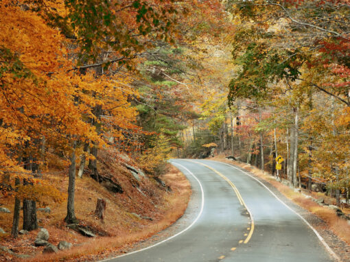 Best 10 Autumn Adventures in the Arizona White Mountains Best 10 Autumn Adventures in the Arizona White Mountains