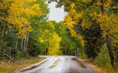 The Ultimate Fall Color Day Trip In The Arizona White Mountains