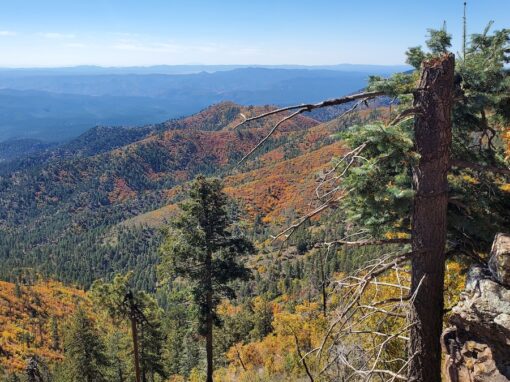 Blue Vista Overlook in the Arizona White Mountains Blue Vista Overlook in the Arizona White Mountains