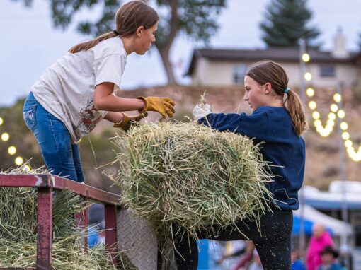 Raising Children On A Mountain Homestead Raising Children On A Mountain Homestead