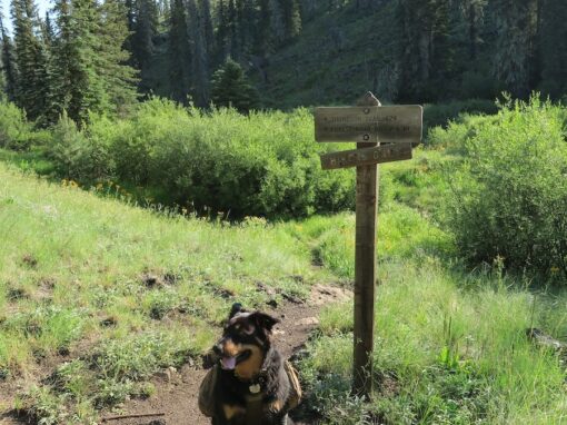 Thompson Trail 629 Thompson Trail 629