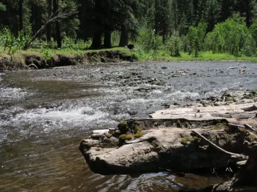 7 Best Hiking Trails Near Alpine Arizona 7 Best Hiking Trails Near Alpine Arizona