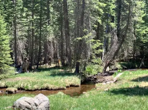 5 Best Campgrounds Near Alpine Arizona 5 Best Campgrounds Near Alpine Arizona