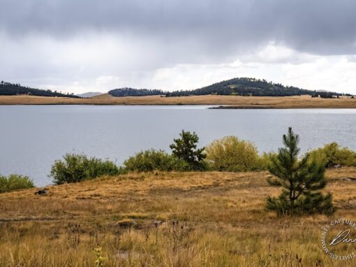 Discover 5 Amazing Big Lake Campgrounds in Arizona’s White Mountains Discover 5 Amazing Big Lake Campgrounds in Arizona’s White Mountains