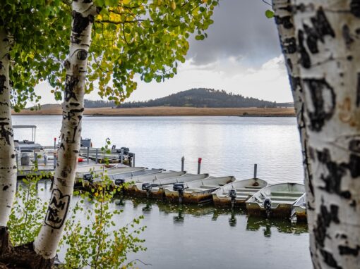 #1 Ultimate Family Camping Weekend – Fishing at Big Lake in the White Mountains AZ #1 Ultimate Family Camping Weekend – Fishing at Big Lake in the White Mountains AZ