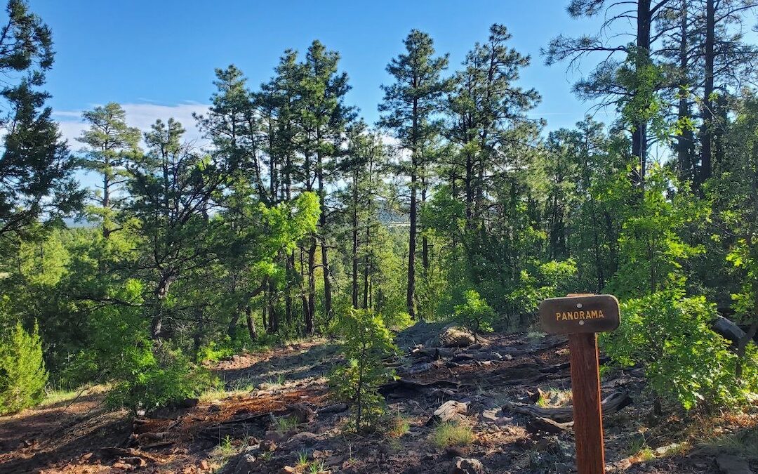 Arizona White Mountains Breathtaking Panorama Trail