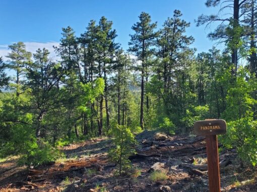 Arizona White Mountains Breathtaking Panorama Trail Arizona White Mountains Breathtaking Panorama Trail