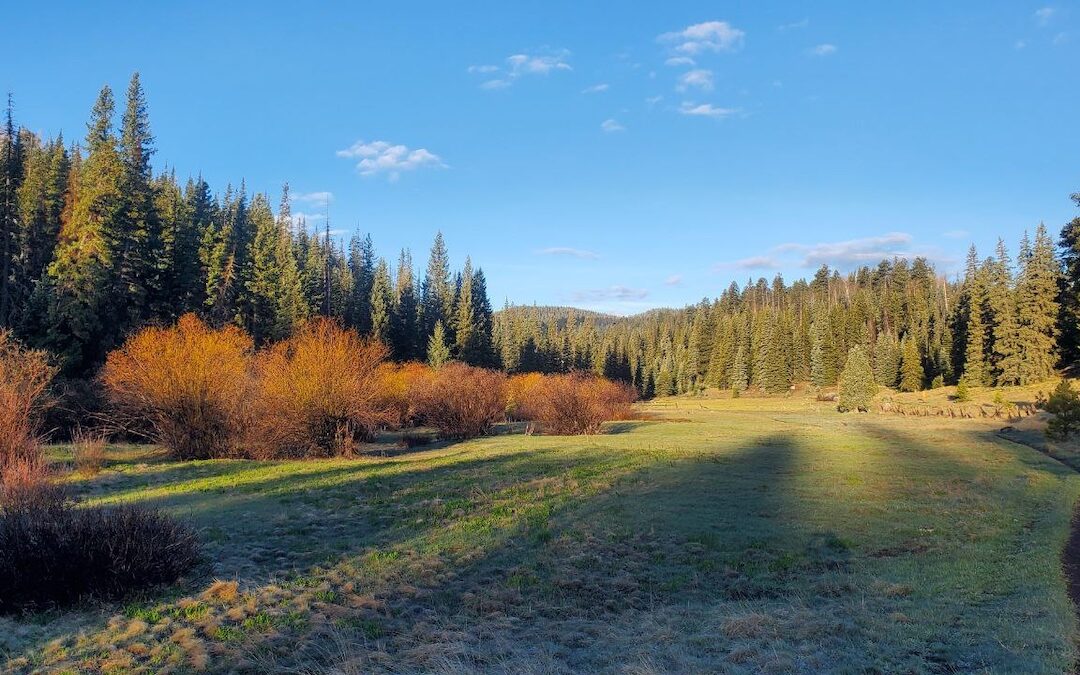 Exploring The Beautiful West Baldy Trail