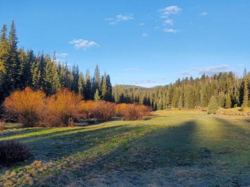 Exploring The Beautiful West Baldy Trail Exploring The Beautiful West Baldy Trail