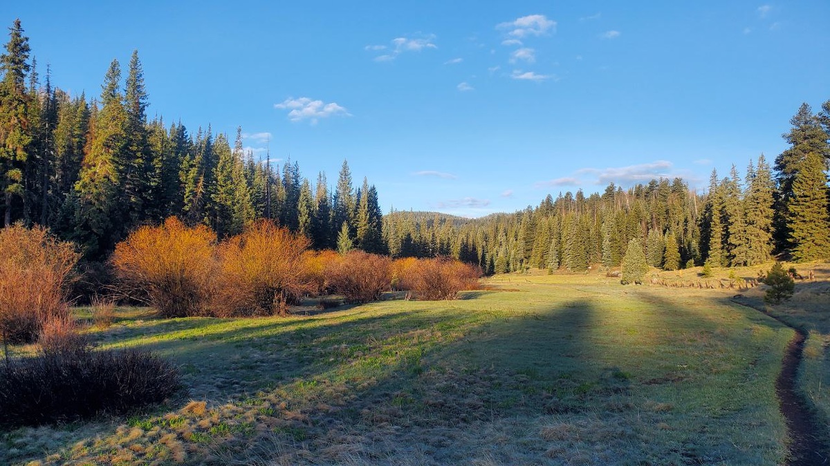 Exploring The Beautiful West Baldy Trail - Things To Do in Arizona ...