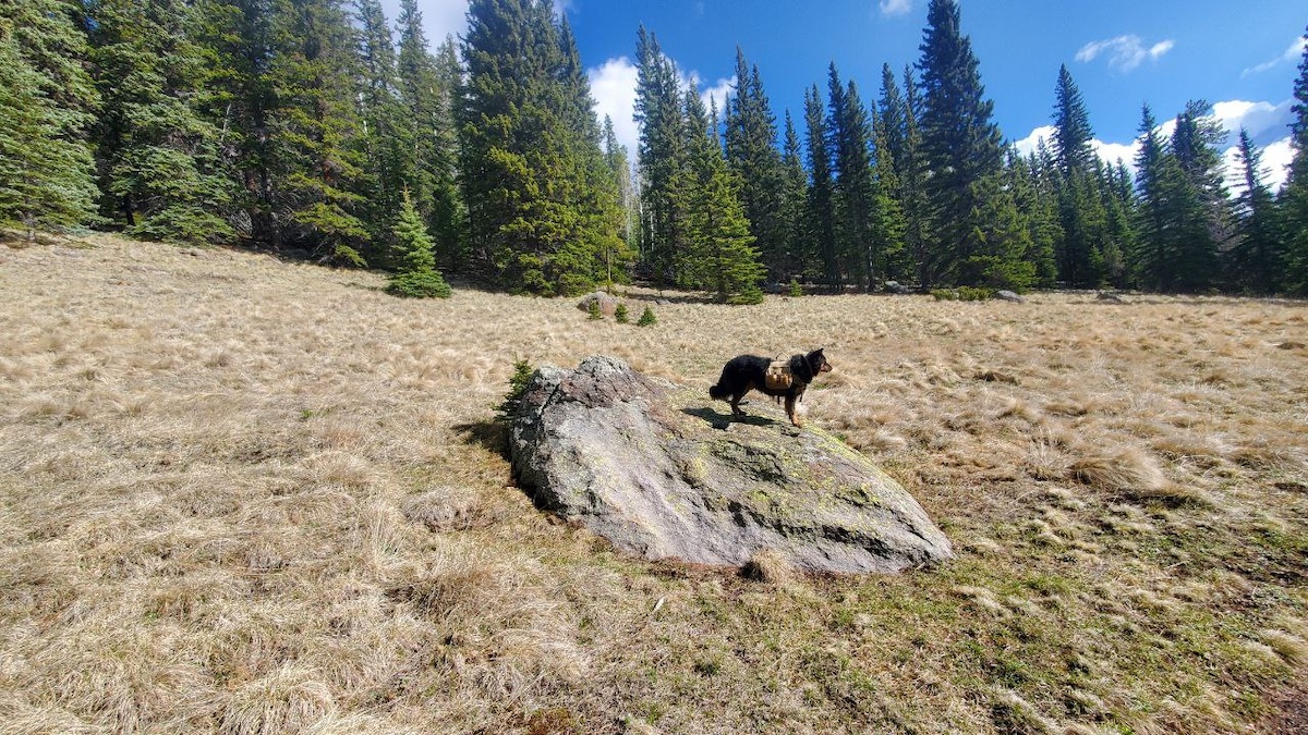 West Baldy Trail - Westlie