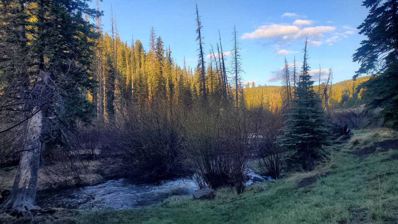 2 West Baldy Trail