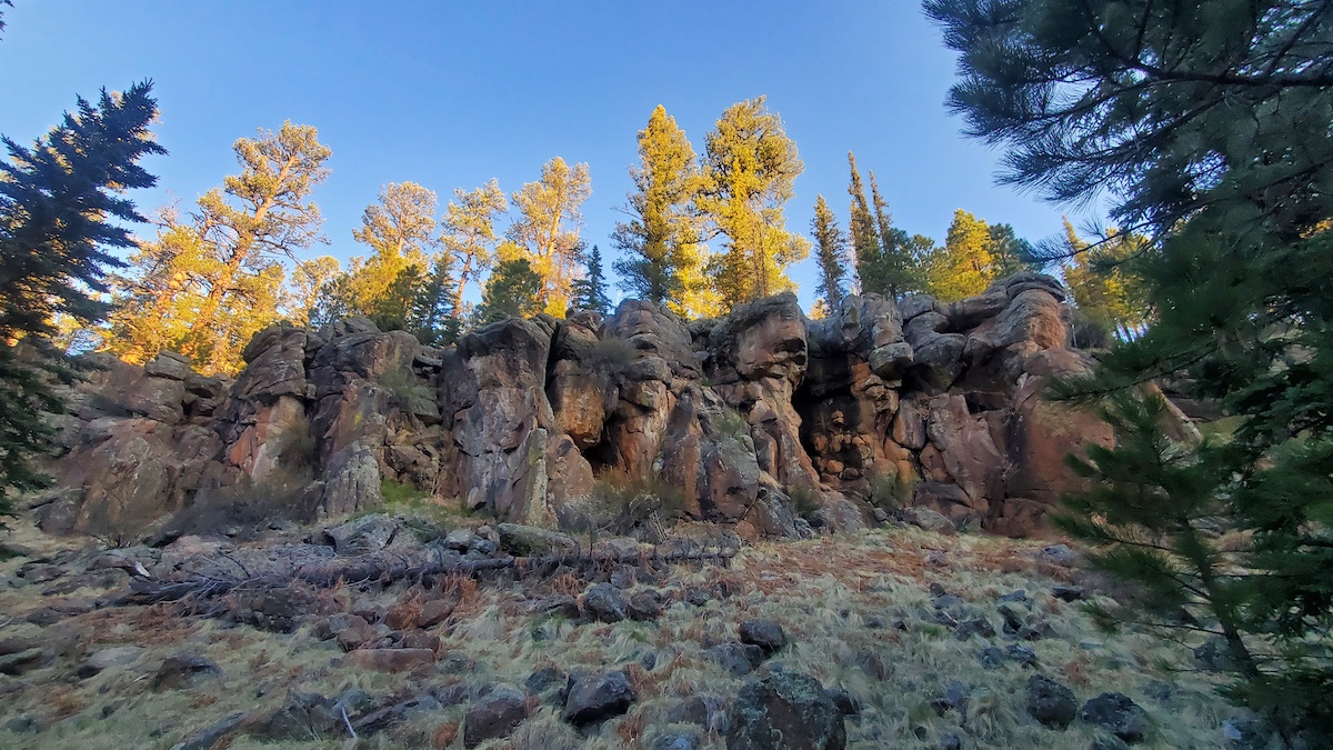 Government Springs Trail in Arizona's White Mountains