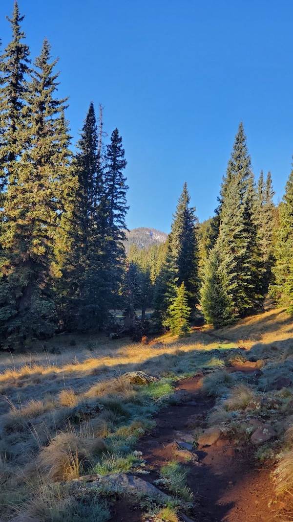 West Baldy Trail