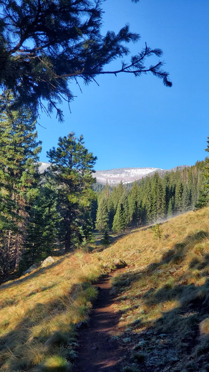 West Baldy Trail