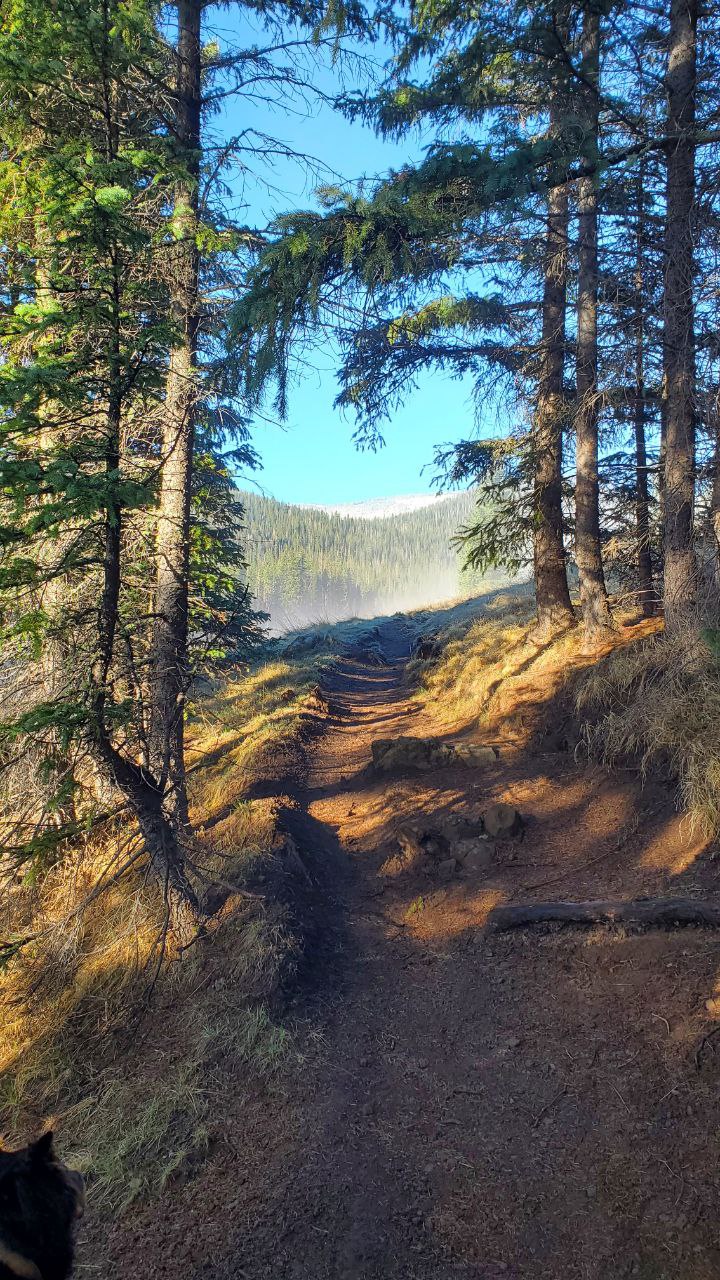 West Baldy Trail