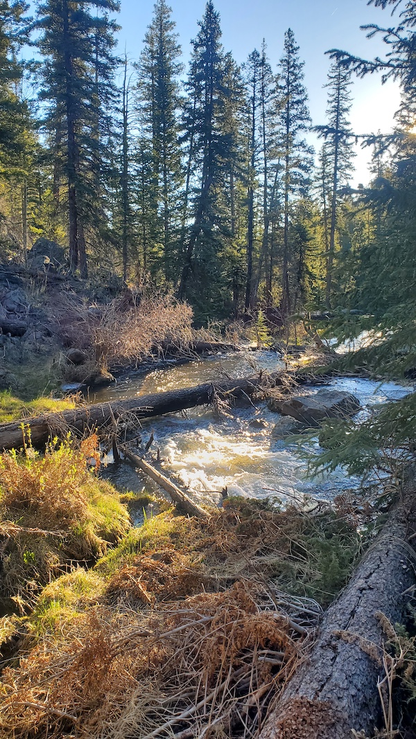 Government Springs Trail