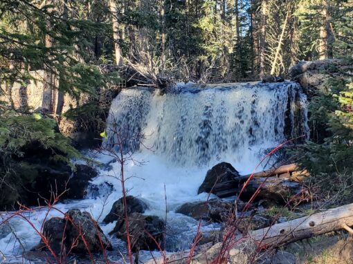 Discover the Beauty of Government Springs Trail in Arizona White Mountains Discover the Beauty of Government Springs Trail in Arizona White Mountains