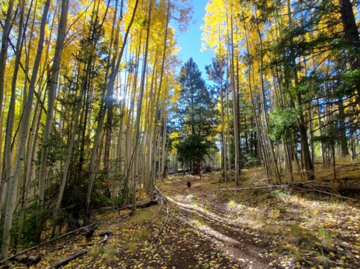 Beautiful Pole Knoll Recreation Area Beautiful Pole Knoll Recreation Area