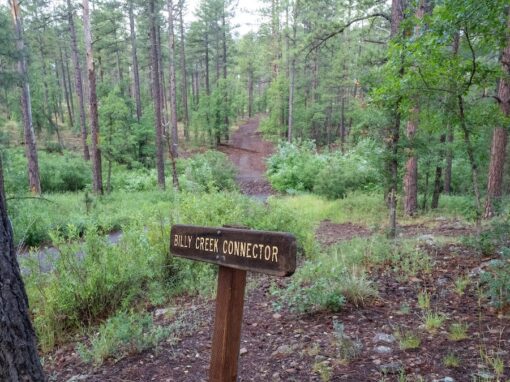 Hiking The Beautiful Billy Creek Connector #107A Hiking The Beautiful Billy Creek Connector #107A