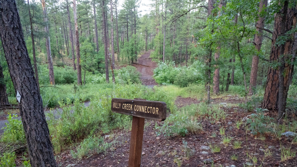 Billy Creek Connector #107A