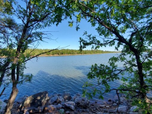 Beautiful Show Low Lake Trail: Hiking, Fishing, and Boating in the Arizona White Mountains Beautiful Show Low Lake Trail: Hiking, Fishing, and Boating in the Arizona White Mountains