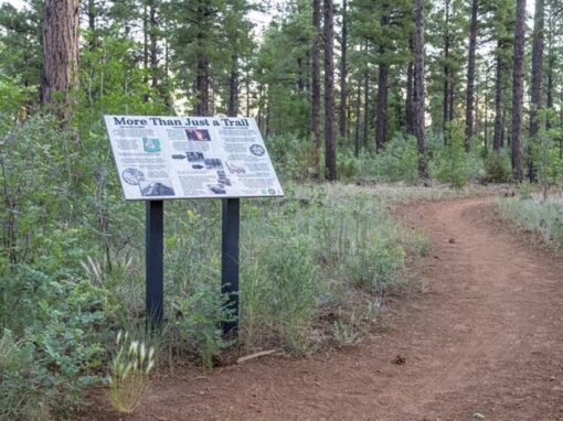The Call of the White Mountains: Beautiful Flume Connector #636B The Call of the White Mountains: Beautiful Flume Connector #636B