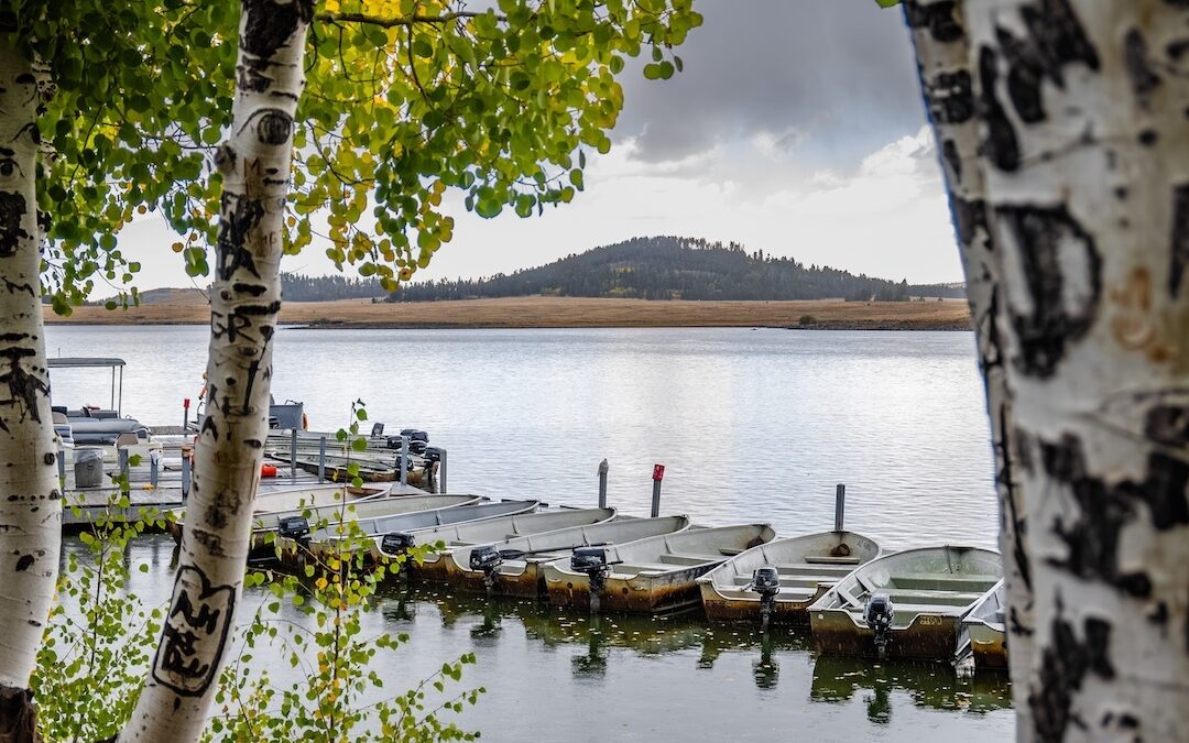 Celebrate National Fishing and Boating Week in the Arizona White Mountains 