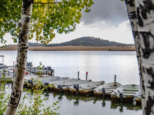 Celebrate National Fishing and Boating Week in the Arizona White Mountains Celebrate National Fishing and Boating Week in the Arizona White Mountains