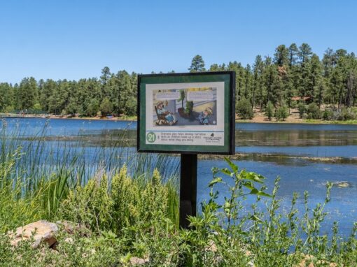 Serene Woodland Lake Park Trail Serene Woodland Lake Park Trail