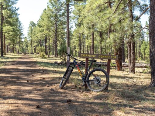 The Challenging Chipmunk Connector #631A The Challenging Chipmunk Connector #631A