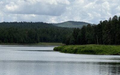 Discover The Amazing Horseshoe Cienega Lake