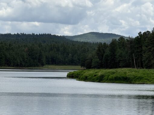 Discover The Amazing Horseshoe Cienega Lake Discover The Amazing Horseshoe Cienega Lake