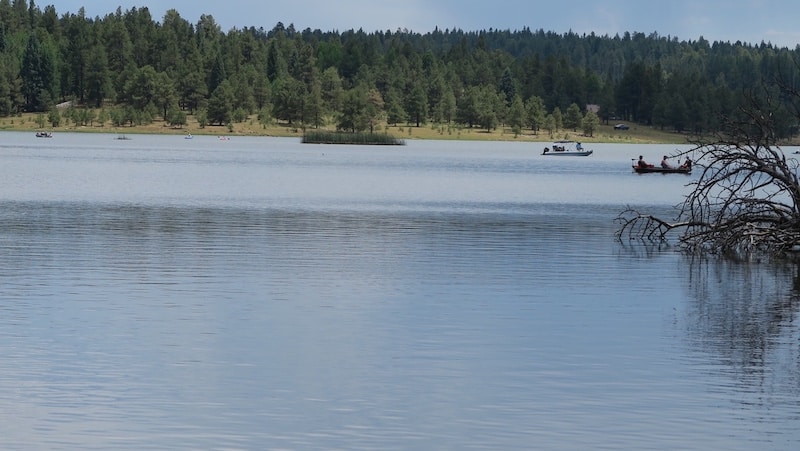 Arizona White Mountain Campgrounds | Apache-Sitgreaves National Forest 3 Hawley Lake Campground
